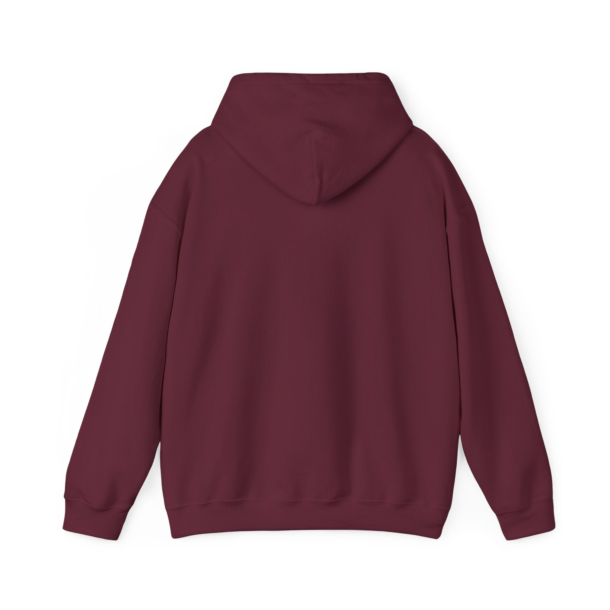 The Most Interesting Man Hooded Sweatshirt